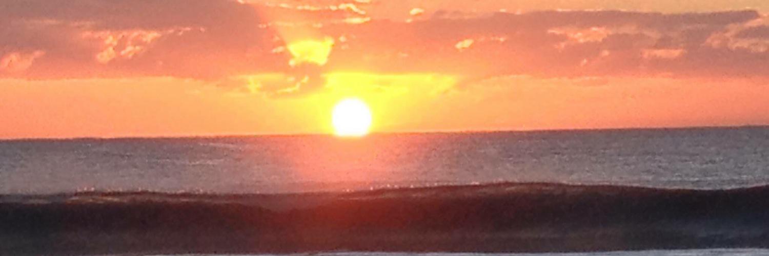 Dr. Danielle Ireland-Piper banner