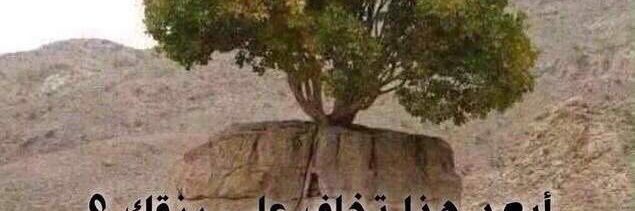 ابراهيم العنقري banner