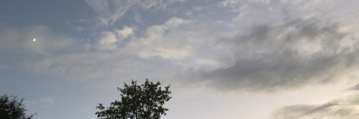 Camila W Zolfaghari banner