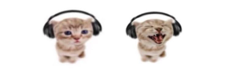 jenodrums's profile banner image