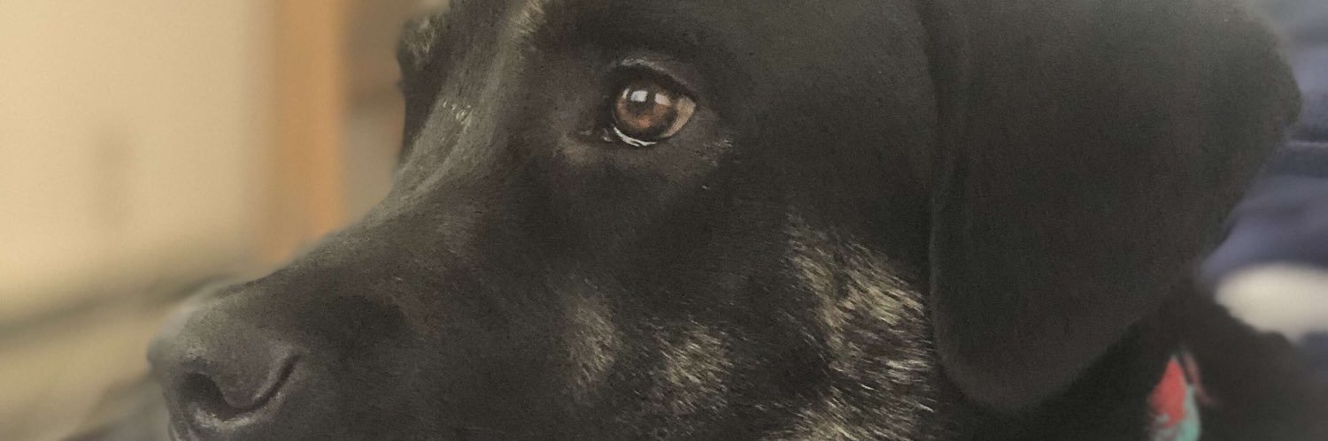 Cakethelegend's profile banner image