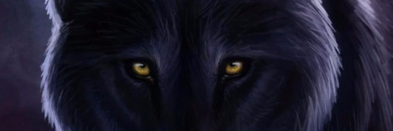 WireWolfYT's profile banner image