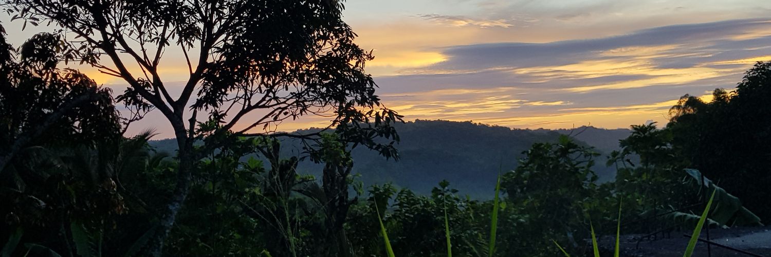 JCislington's profile banner image