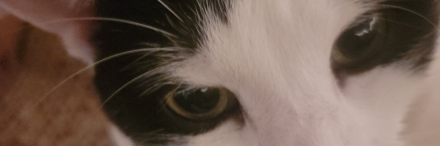 ustinPartner's profile banner image