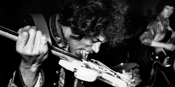 PeludoColochon's profile banner image