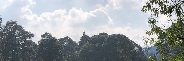 _soofia27's profile banner image