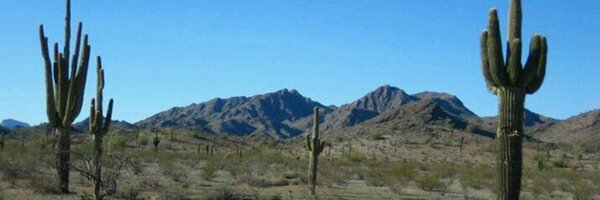 MoniGPi Profile Banner