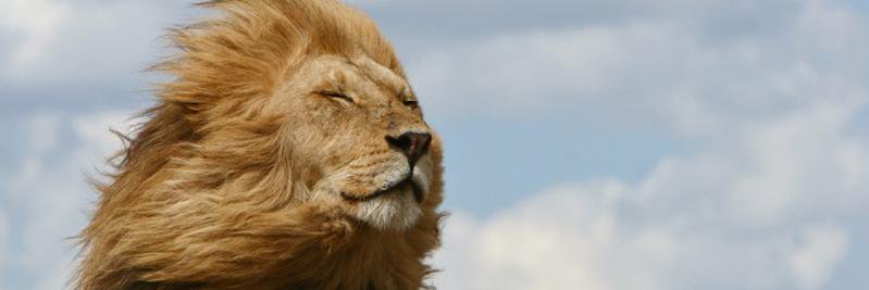 ZeitzFoundation's profile banner image
