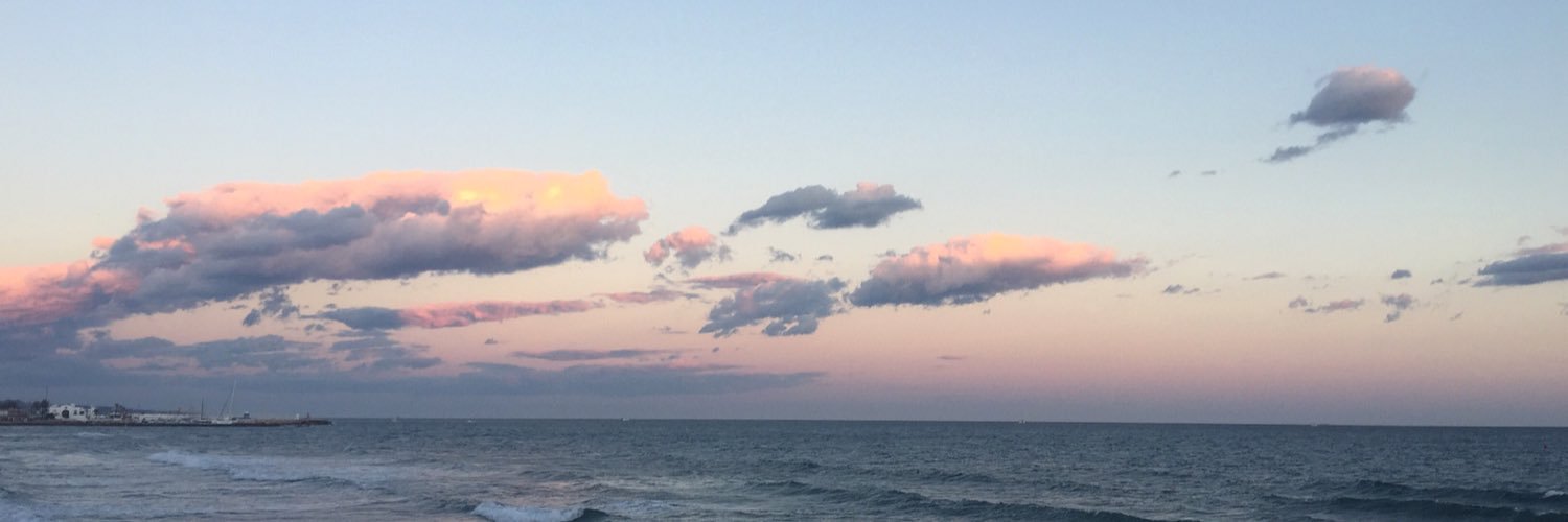 soniaheifitz's profile banner image