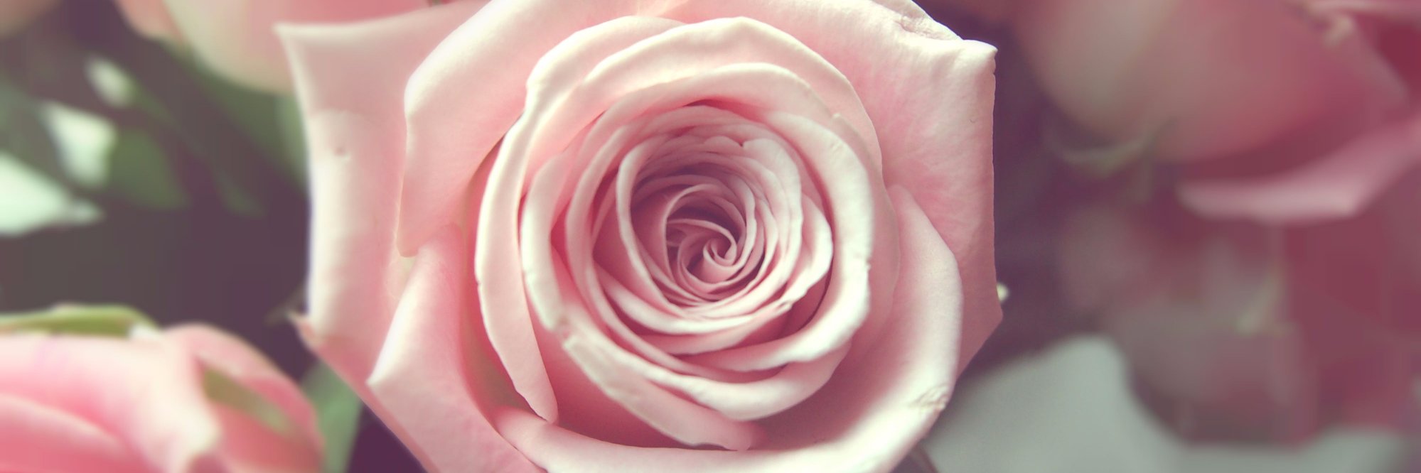 R banner