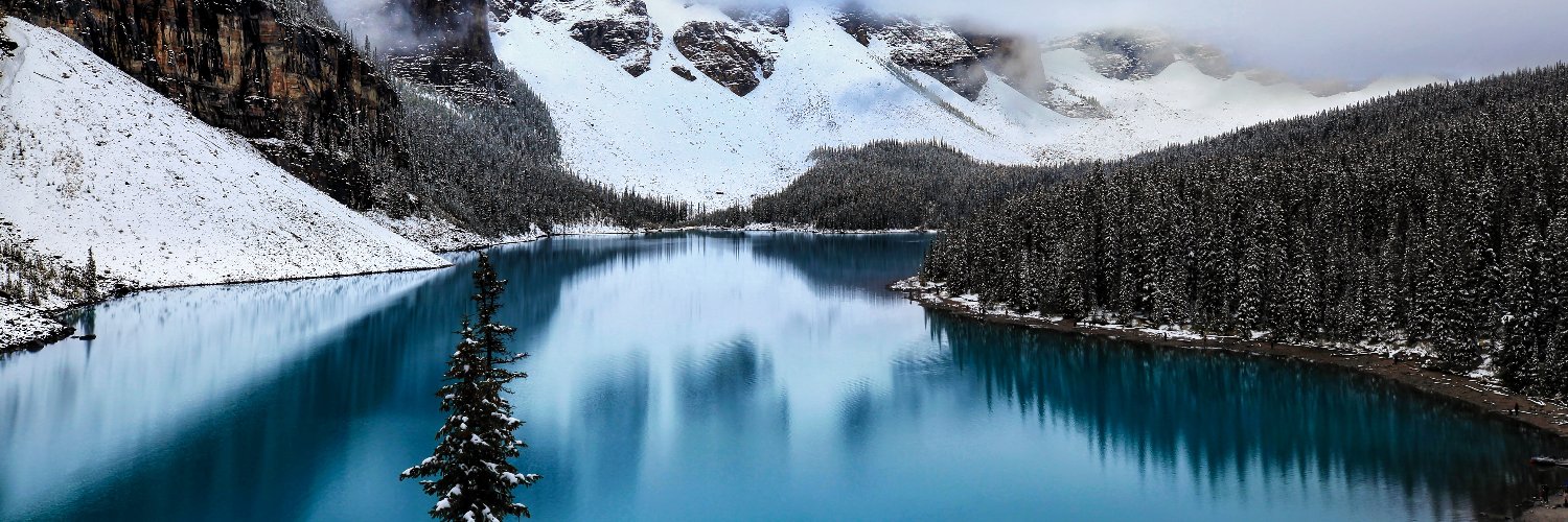 過江龍｜Professional Stock Trader ｜Crypto Enthusiast banner