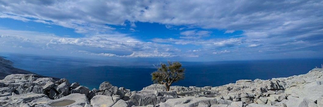 ᴀʟɪ ʜᴀʀʙɪ | علي حربي banner