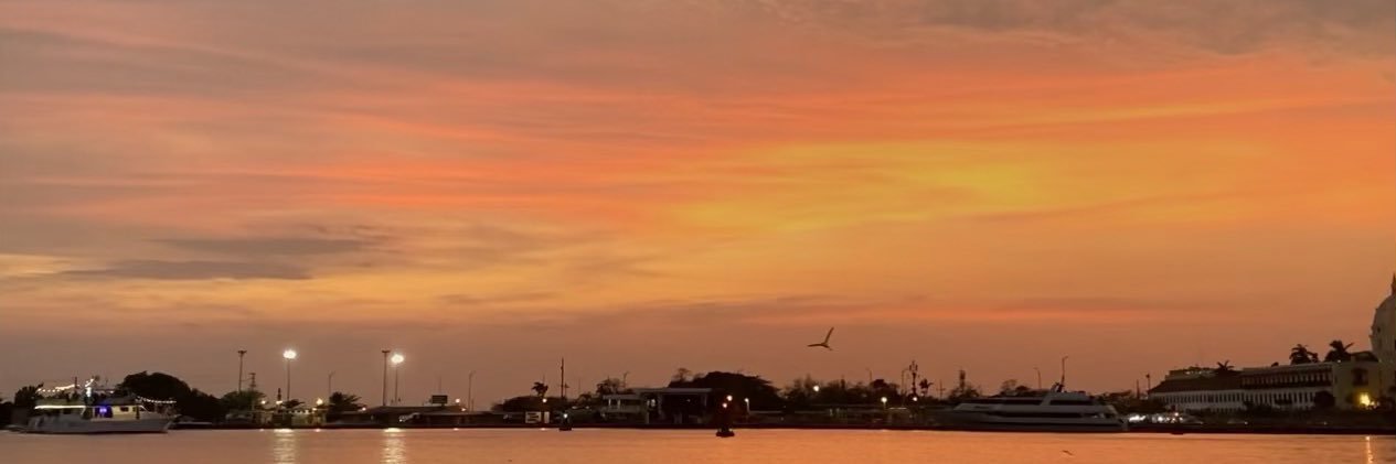 MariaaVillamil's profile banner image