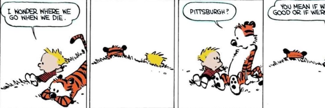 noah_segall's profile banner image