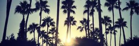 angel_xbx's profile banner image