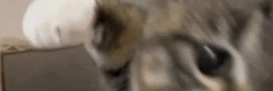 Sandyyvall's profile banner image