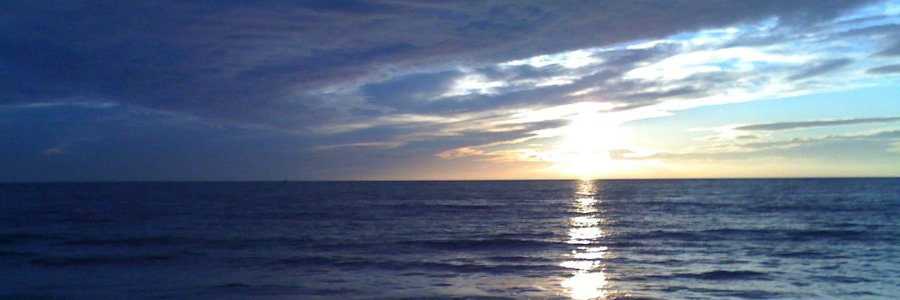 PalomaUnir's profile banner image