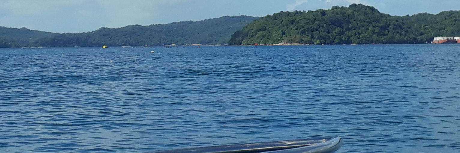 ayunimunasinghe's profile banner image