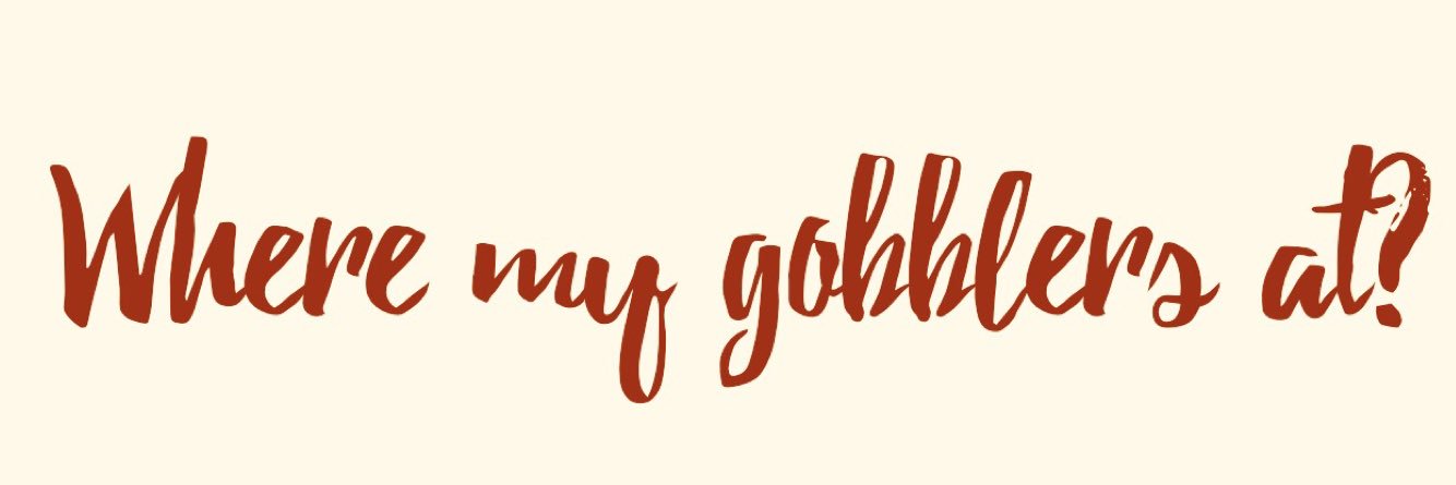 Turkeyriverbrew's profile banner image