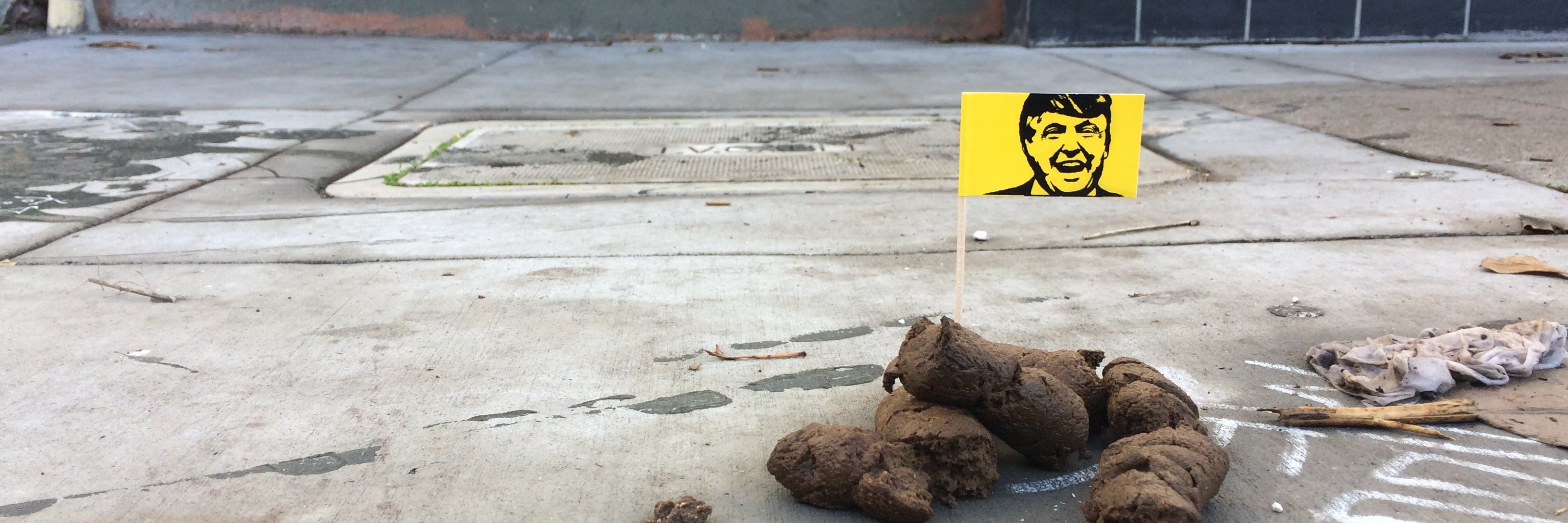 someguy_is's profile banner image