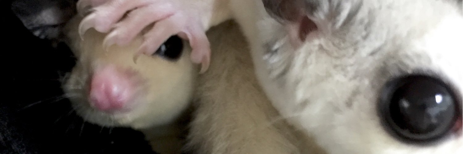 Naturebox2's profile banner image