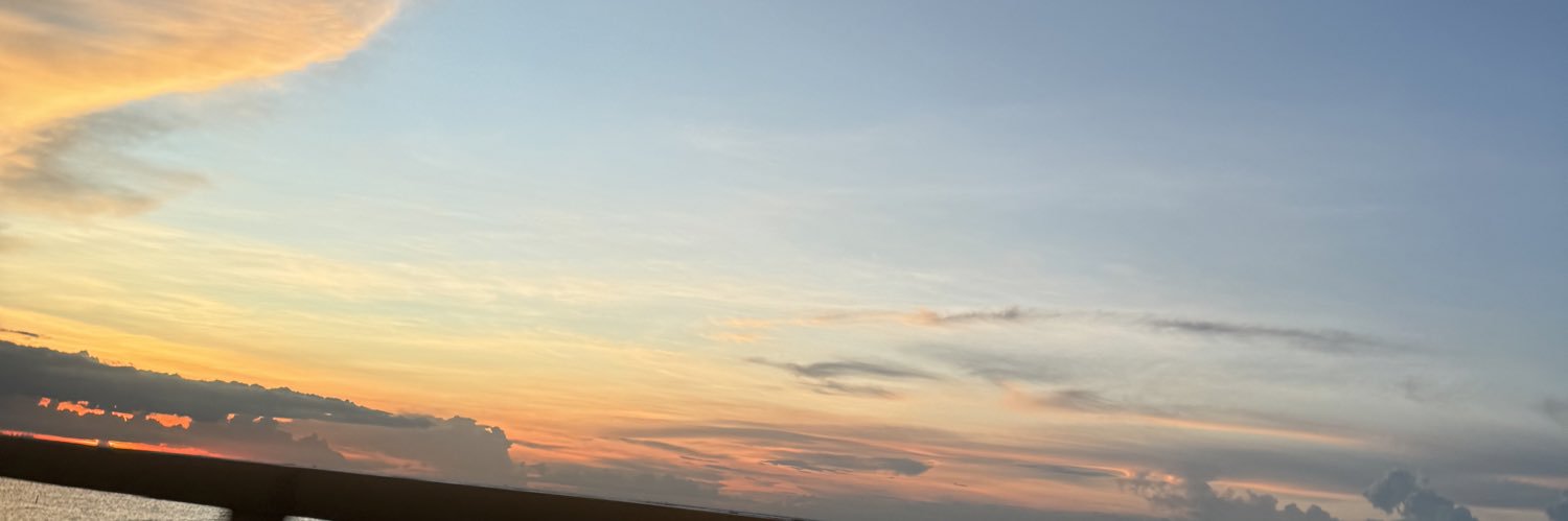 dinobiebitte's profile banner image