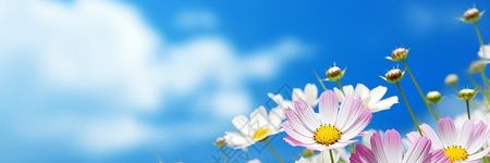 wei_robin's profile banner image
