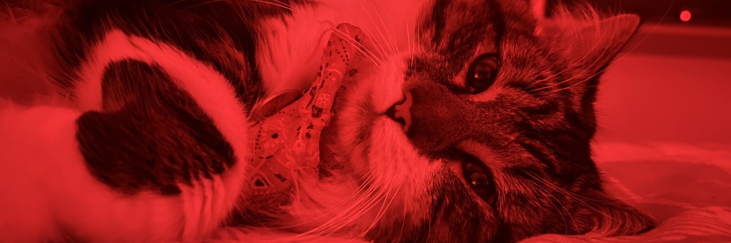 iamceicei's profile banner image