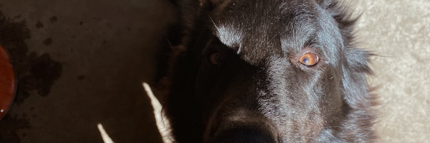 FernandezecAgus's profile banner image