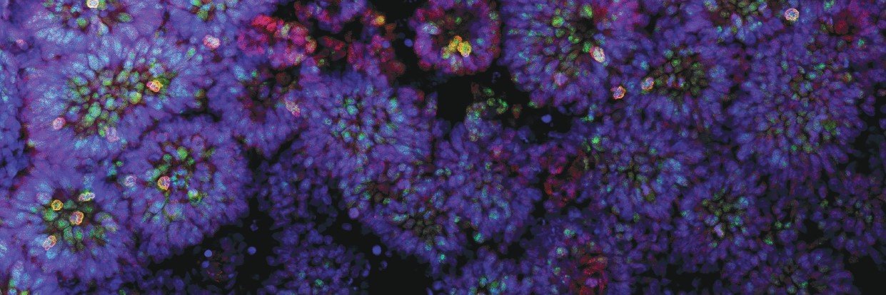 Sergio Escamilla banner