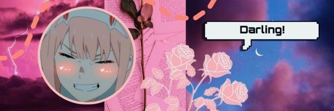 1naintensa's profile banner image