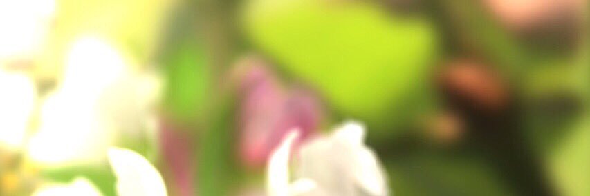anaaglezz's profile banner image