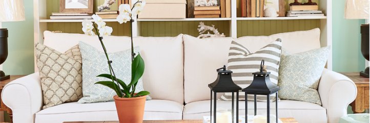 Penney & Company banner