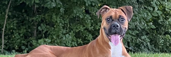 TonzyGG Profile Banner