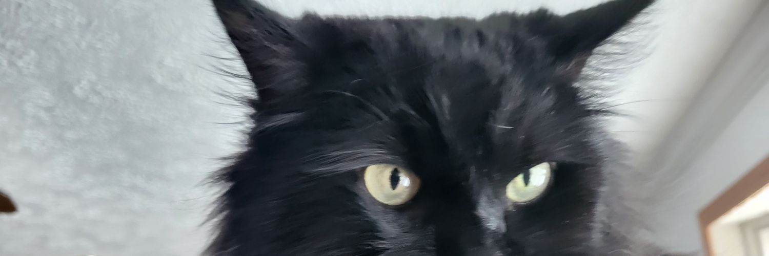 MadewellJames's profile banner image