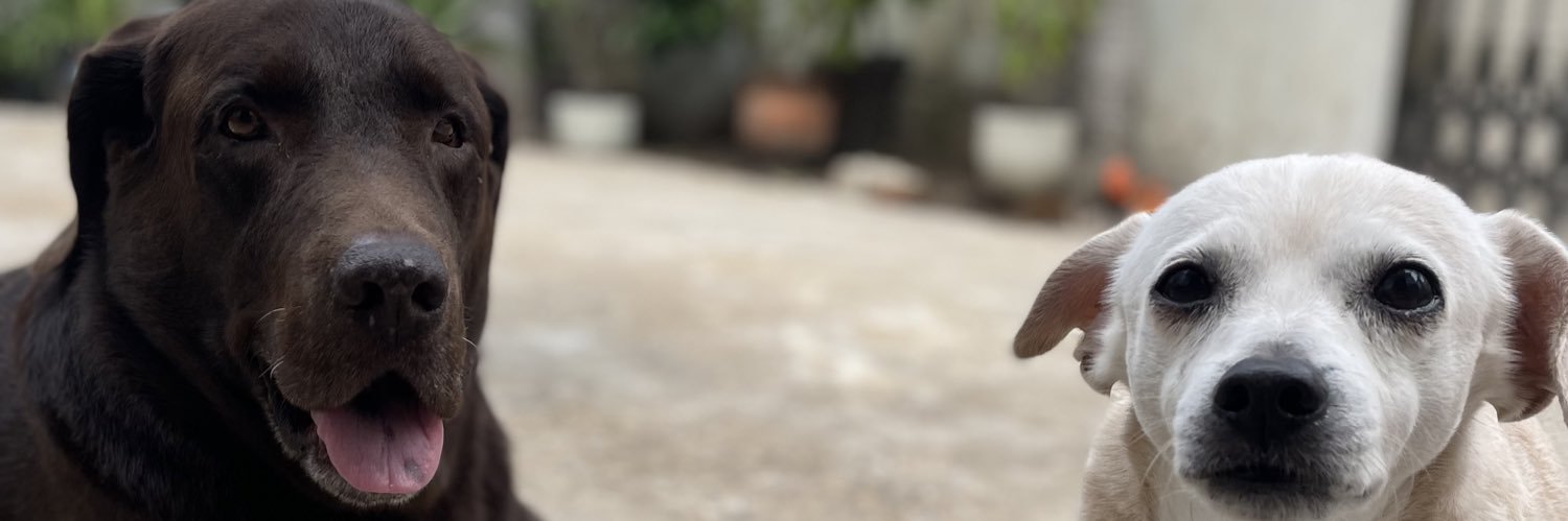 beru196's profile banner image