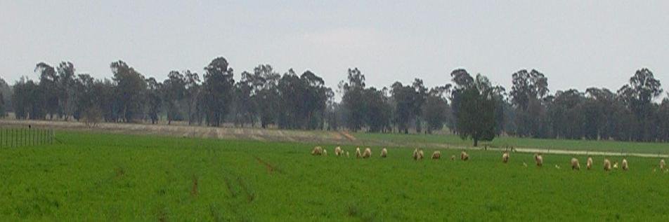 Fred Morley Centre banner