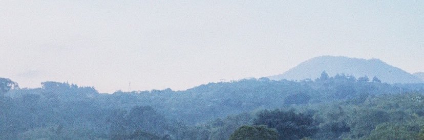 edglvn1's profile banner image