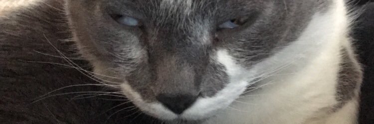 3treptyl's profile banner image
