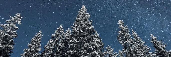 soniaptrzk's profile banner image