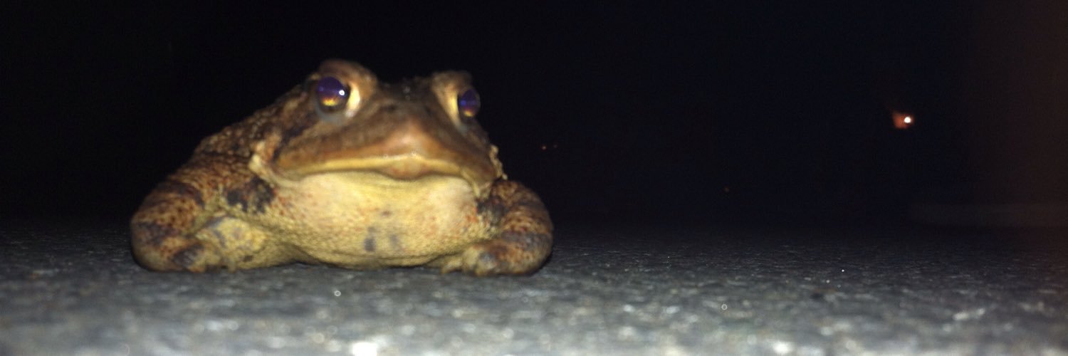 EricLemon98's profile banner image