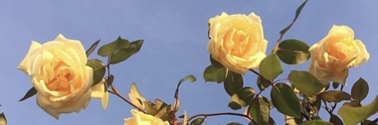 theonlybmborel's profile banner image