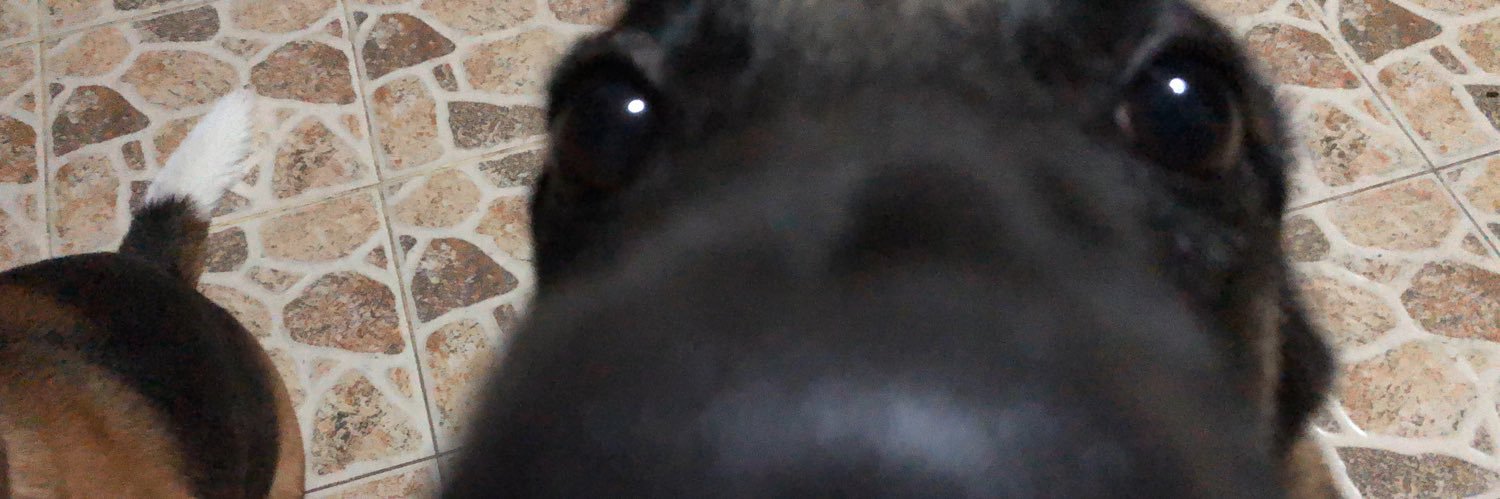 ___teyyyy's profile banner image
