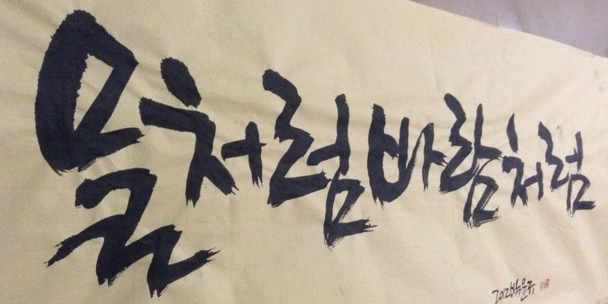세상을 보는 눈! banner