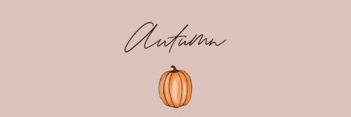 wille_violette's profile banner image