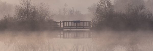 iamsteve17 Profile Banner