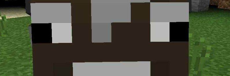 EnderMixx's profile banner image