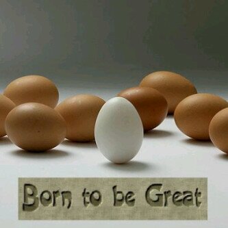 omoadegun's profile banner image