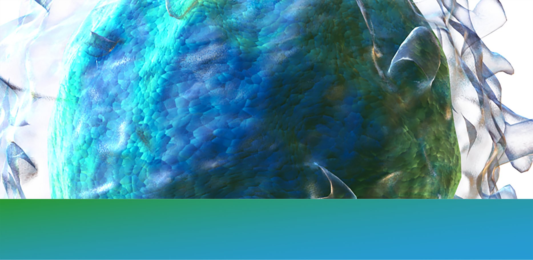 Immunome's profile banner image