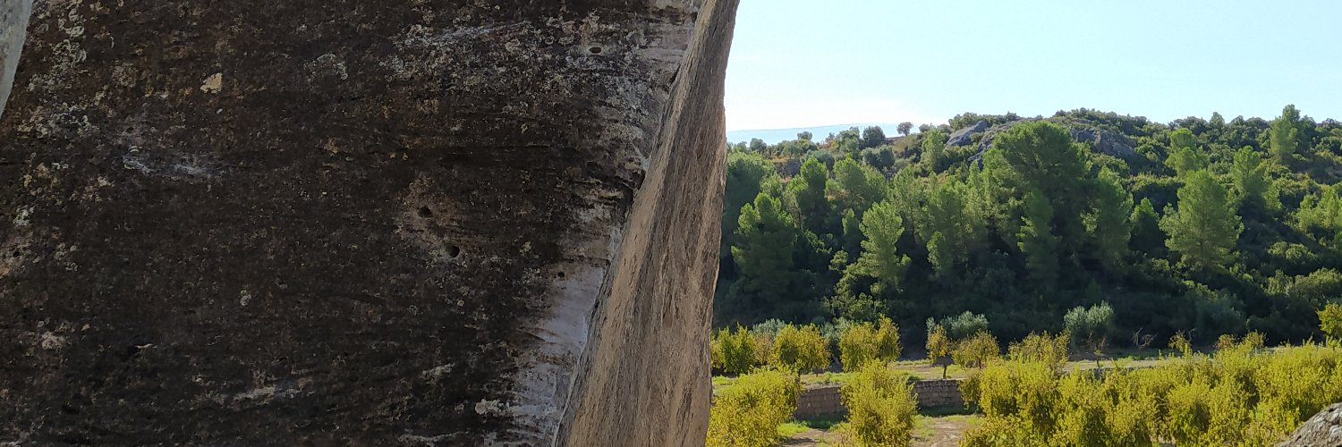 Joan Miro-Blanch banner